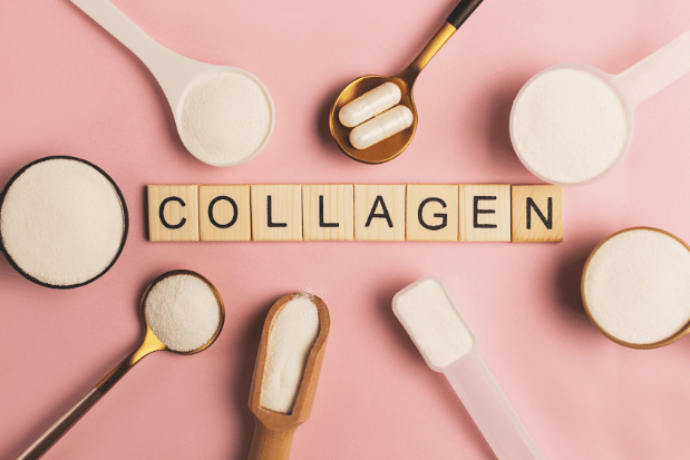 collagen - the structural protein