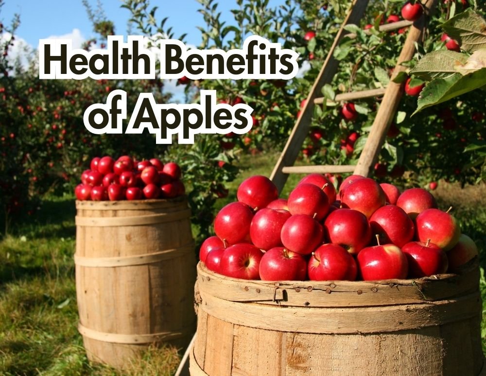 Discover the Incredible Health Benefits of Apples: A Complete Guide