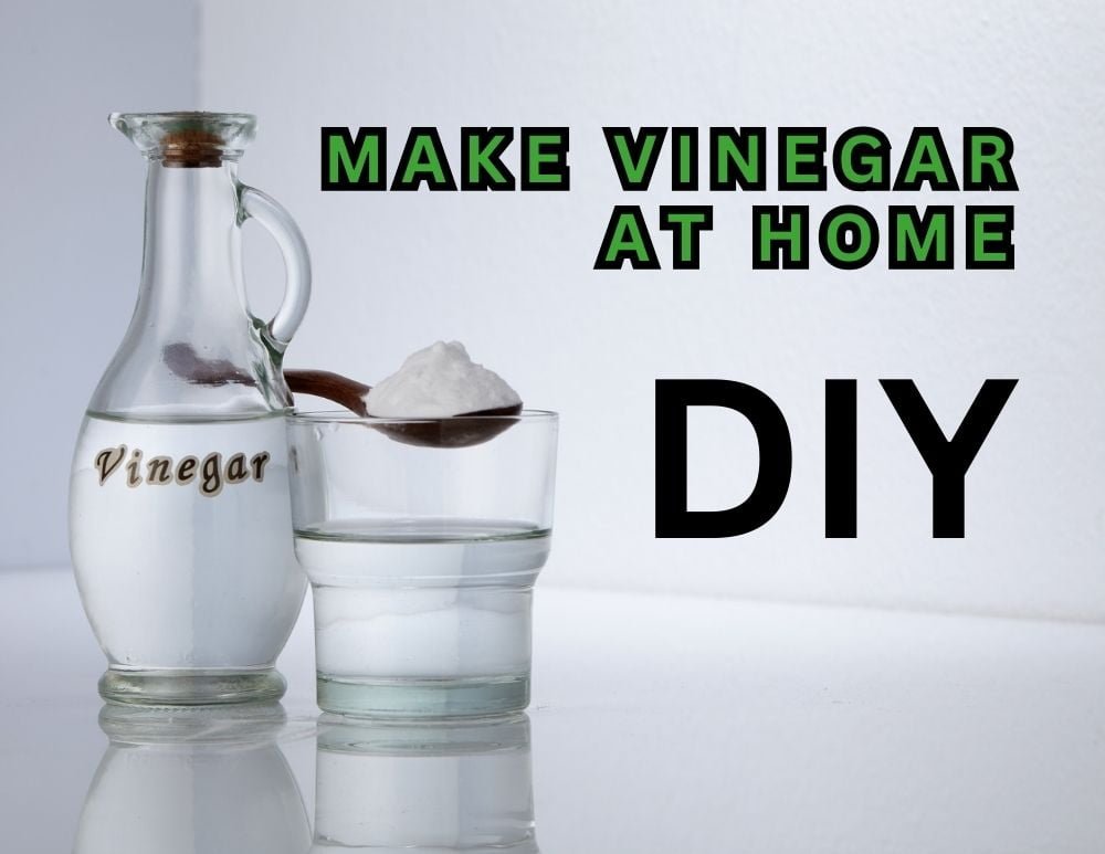 How to Make White Vinegar and Apple Cider Vinegar DIY AT HOME