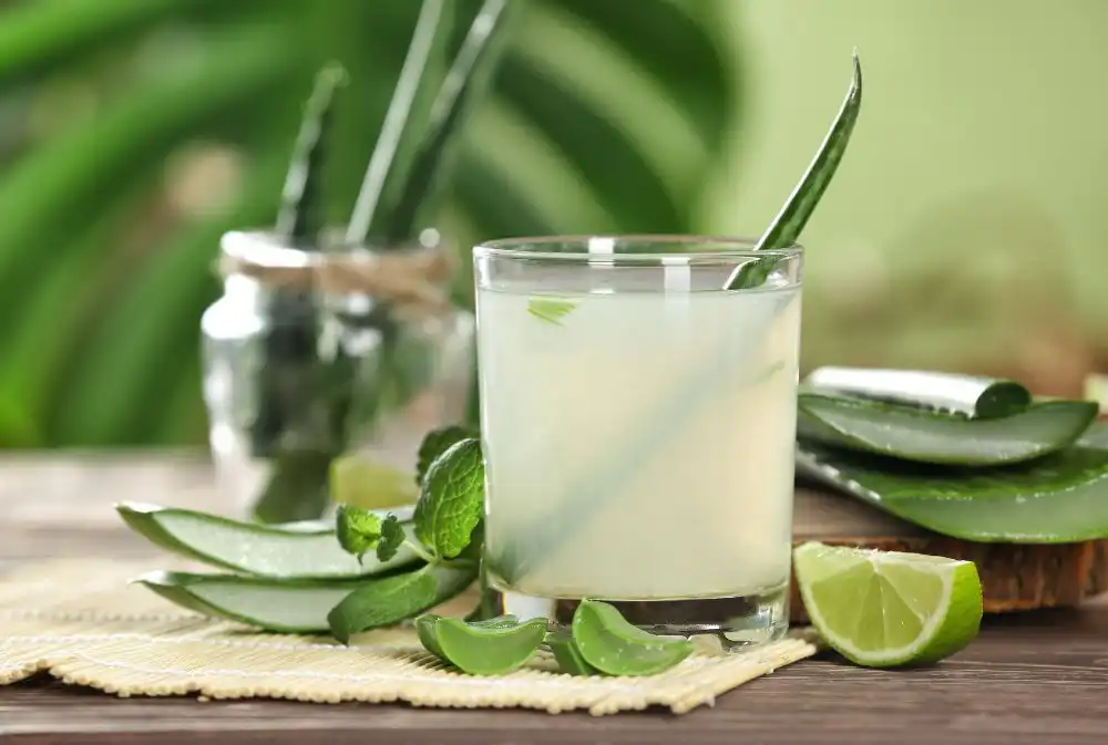 Benefits of Aloe Vera and Cactus Tea