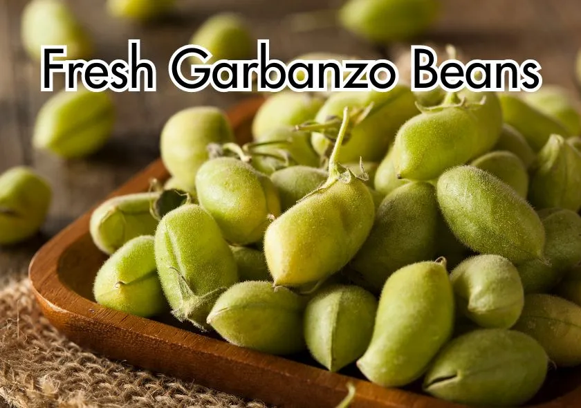 Fresh garbanzo beans